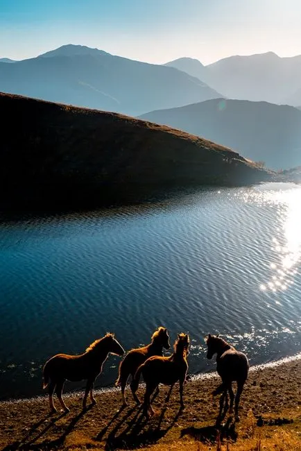 Fotografia ca un stil de viață tineri fotografi vorbesc despre calea aleasă, tânăra garda