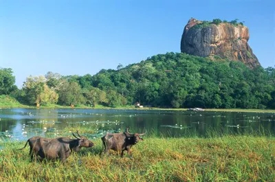 A Mount Sigiriya (sigiriya) vagy oroszlán szikla sziget Srí Lanka