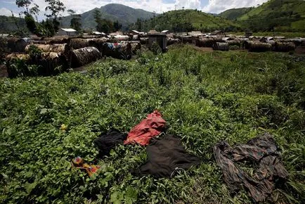 Ți-e foame viața în Congo