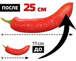 Cât de repede mari penisul în mod corespunzător și eficient