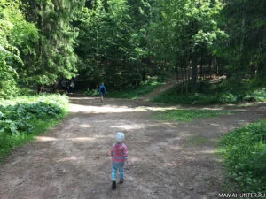 Hogyan lehet eljutni a zubrovnika Toksovo