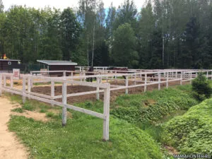 Cum se ajunge la zubrovnika în Toksovo