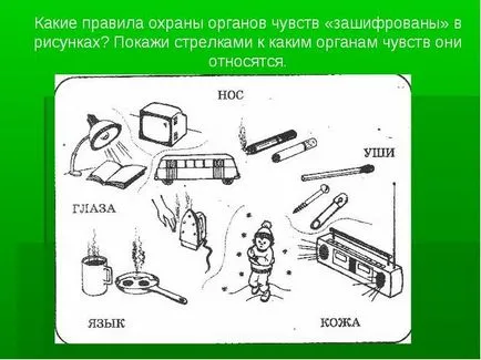 Hogyan kell felhívni szimbólumok higiéniai az érzékek