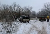 cîini alungare iepuri de câmp, în pădure Dyakovo, știri regiunea Saratov - informații