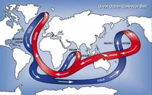 Gulf Stream se răcește în jos, așa cum sa spus