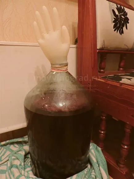 Cum să se pregătească vin acasă de la chokeberry