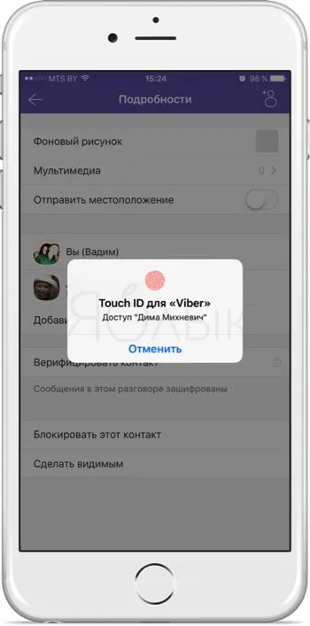 Как да се скрие (запис възстановяване) кореспонденция с всяко лице, Viber на iphone, ябълка новини