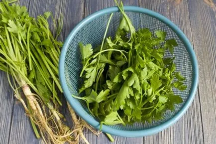 Hogyan kell tartani gyógynövények leves és saláta divat a téli 3