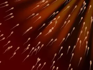 Как да се увеличи подвижността на сперматозоидите
