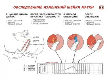 Mi a méhnyak menstruáció előtt