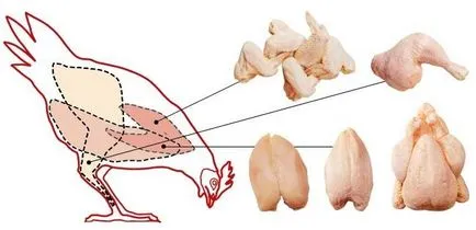 Cum de a alege carne dovedit căile - sfatul dreapta