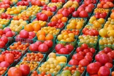 Cum de a alege cele mai bune soiuri de tomate pentru a planta