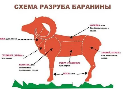 Hogyan válasszuk ki a húst bevált módon - a jobb tanácsot