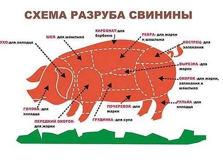 Cum de a alege carne dovedit căile - sfatul dreapta