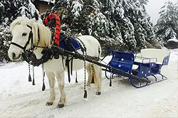 Szánkózás, szán kölcsönzés - lovas csapat arany sörény (KSK arany sörény)