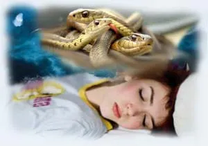 Miért álom egy kígyó