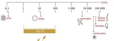 Cosmeceuticals RBC, козметични средства - козметика с potryasayusche- е светъл, против стареене и здраве за подобряване на